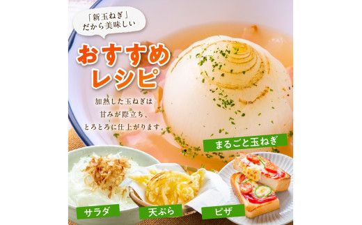 【訳あり】 新たまねぎ　7kg 7キロ 30～40玉 玉ねぎ タマネギ 玉葱 玉ネギ 訳あり 訳有り 規格外 不揃い ふぞろい 野菜 京野菜 京都産　 JA00063