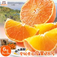 【先行予約】【数量限定】岡市農園！愛媛県産 愛果28号 3kg×2箱（2026年12月中旬より順次発送） IKTV006