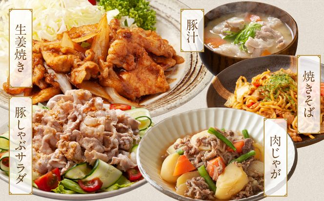 宮崎県産豚肉バラエティ2.3kgセット_MJ-N206