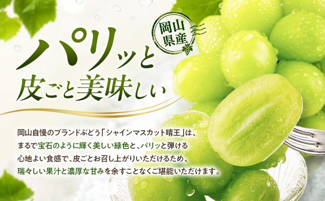 ぶどう 2026年 先行予約 シャインマスカット 晴王 1房 約700g 9月～10月発送 岡山県産 種無し 皮ごと食べる みずみずしい 甘い 瀬戸内 晴れの国 おかやま 果物大国 満天フルーツ