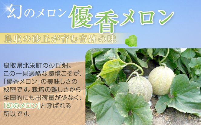 786.【先行予約】幻の「優香メロン」うれしい！3~4玉入 　※2026年６月下旬より順次発送予定 313726_AS011