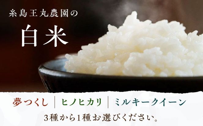 糸島おむすびセット 糸島市 / いとしまごころ 米 佃煮 海苔 おむすび おにぎり[ASD025] お米 米 おにぎり おむすび 白米 玄米 夢つくし ヒノヒカリ ミルキークイーン