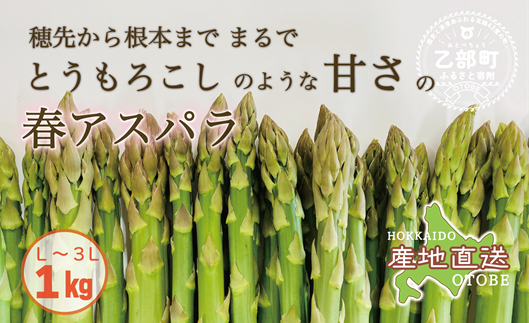 【予約受付中！4月中旬頃発送予定】＜北海道産 春採れグリーンアスパラ 3㎏＞ 甘さ広がる春の味覚！ 北海道 北海道産 国産 産地直送 乙部町 旬 新鮮 採れたて 農家直送 あすぱら アスパラガス 野菜 冷蔵配送 L以上 お取り寄せ 送料無料