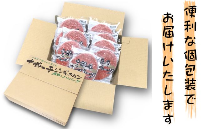北海道 十勝牛 手ごねハンバーグ 200g×3個【 セット 牛100% 国産牛 牛肉 ハンバーグ 惣菜 小分け 冷凍 牛肉100% 大きい 国産 北海道 十勝 幕別 ふるさと納税 送料無料 】