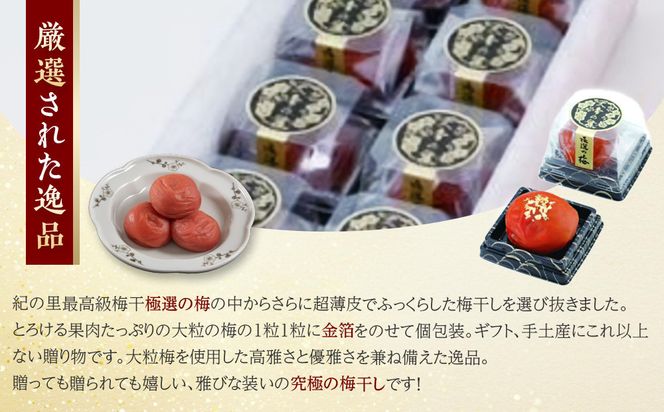 極選の梅 天帝の舞 1箱10粒入り ［Kn11］ 303446_CQ011