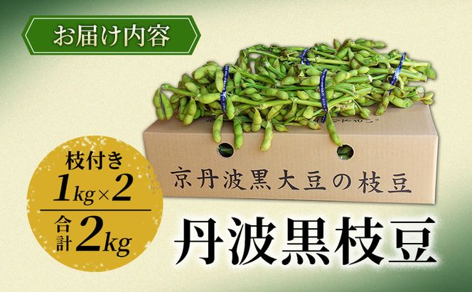 丹波黒枝豆　1kg（枝付き）×2 | 野菜 えだまめ えだ豆 おつまみ 京都府 南丹市