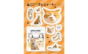 『さんじゅーろー』オリジナルシール 10枚セット 雑貨 文房具 オリジナルステッカー A6サイズ 使いやすいサイズ 猫 猫グッズ 猫のシール 