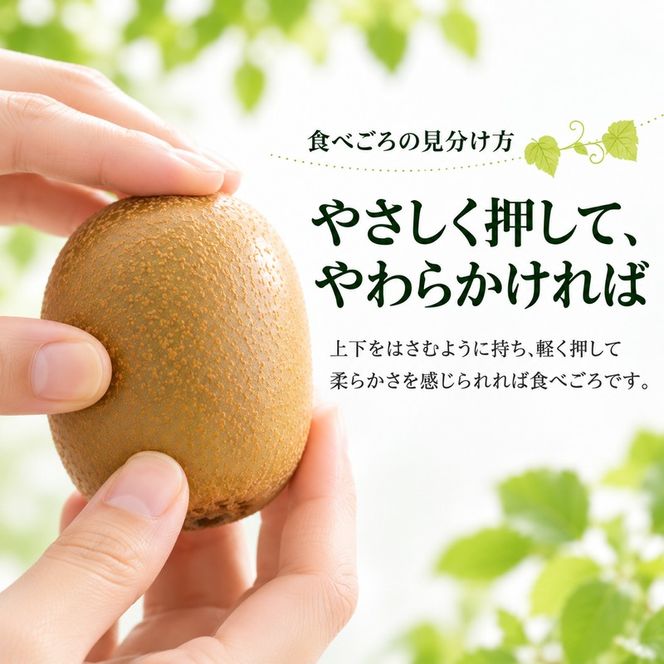 キウイ キウイフルーツ さぬきゴールドキウイ ゴールデンキウイ ゴールドキウイ 香川県産 国産 約3.5kg L～4Lサイズ 16～24玉 大玉 香川県オリジナル品種 追熟 食べごろ 甘い 朝食 デザート フルーツ 果物 くだもの 果実 香川県 東かがわ市 46312064