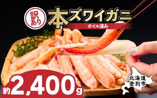 かに 本ズワイガニ 訳あり 冷凍 ボイル 足 ハーフポーション 2400g | カニ 蟹 本ずわいがに ズワイガニ ずわいがに 不揃い 規格外 海産物 海鮮 かにしゃぶ かに鍋 ギフト ふるさと納税 北海道 登別市