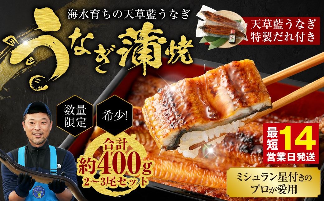 [ミシュラン星付きのプロが愛用]海水育ちの天草藍うなぎ 蒲焼き 2〜3尾セット[合計約400g]鰻 ウナギ 数量限定!!