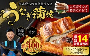 【ミシュラン星付きのプロが愛用】海水育ちの天草藍うなぎ 蒲焼き 2～3尾セット【合計約400g】鰻 ウナギ 数量限定!!