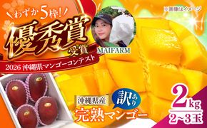 【先行予約】【優秀賞受賞】沖縄県産 完熟マンゴー 訳アリ 2kg (3〜5玉) マンゴー 沖縄 果物 フルーツ ギフト 沖縄市 / MAIFARM[BCAN004]
