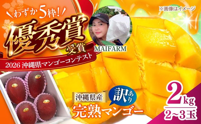【先行予約】【優秀賞受賞】沖縄県産 完熟マンゴー 訳アリ 2kg (3〜5玉) マンゴー 沖縄 果物 フルーツ ギフト 沖縄市 / MAIFARM[BCAN004]