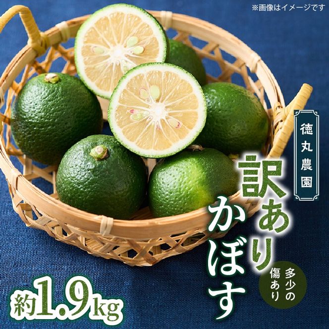 【訳あり】多少の傷あり 徳丸農園かぼす約1.9kg_2265R