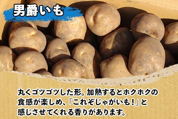 CF】北海道 じゃがいも 男爵 10kg 北海道産 十勝産 男爵芋 男爵