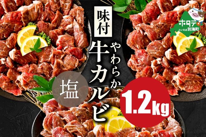  味付け カルビ やみつき 塩ダレ 1.2kg（400g×3パック）【NS0000053】