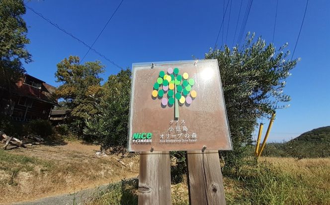 オリーブオイル 小豆島の恵み 100％小豆島産 手摘み エキストラバージンオリーブオイル 85g×2本セット