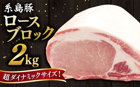 糸島豚 ロース ブロック肉 2kg 糸島市 / ヒサダヤフーズ 豚 豚肉 [AIA068] 豚肉 豚 ブランド豚 糸島豚 ポーク かたまり ブロック肉 ブロック とんかつ