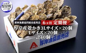 定期便 6ヶ月 北海道 厚岸産 牡蠣 3L 20個 と L 20個 ひと月あたり40個お届け (各回40個×6ヶ月分,合計240個) 殻付き 生食 かき カキ 魚貝類 生牡蠣 マルえもん
