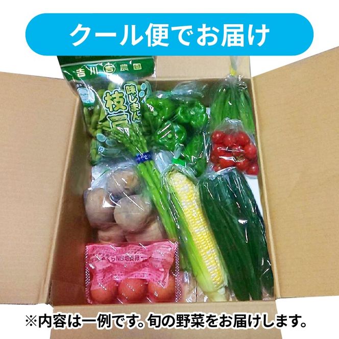 【 全6回定期便 】 野菜 詰め合わせ 産地 直送 10~ 14種 減農薬 栽培 旬 採れたて やさい 家庭用 健康 食材 静岡県 藤枝市 