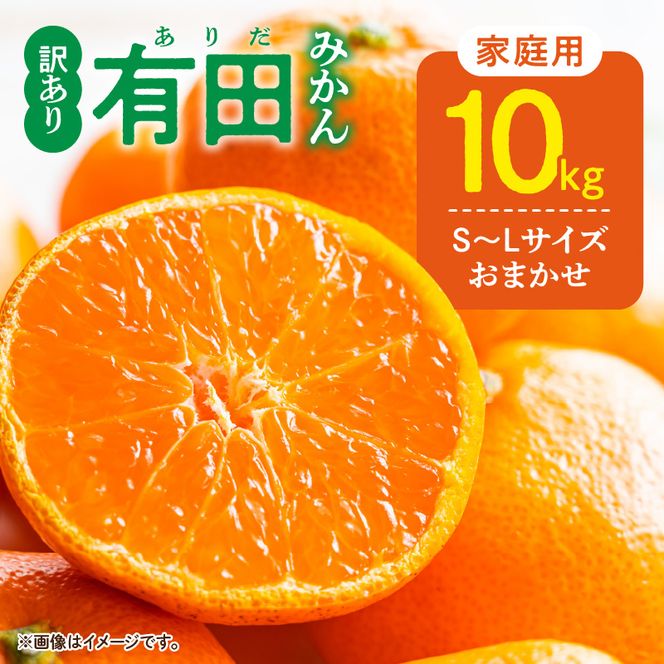 DZ6201_12_【2026年12月発送】ご家庭用 有田みかん 和歌山 S～Lサイズ 大きさお任せ 約10kg