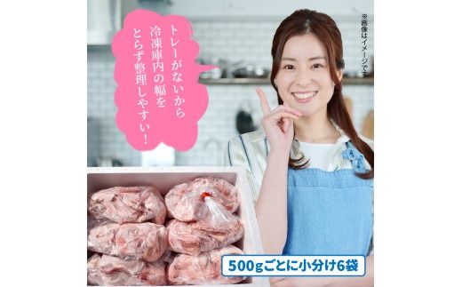 【選べる配送期間】 隔月でお届け！ 大分県産豚大容量切り落とし3kg定期便 計3回(計9kg) 計6回(計18kg)_2554R