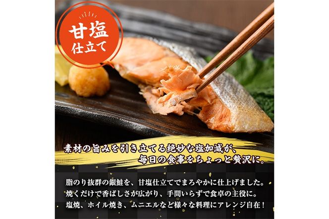 ＜訳あり＞ 甘塩 銀鮭切り落とし (500g) 甘塩 小分け 切り身 鮭 海鮮 魚介類 さけ 鮭 しゃけ 鮭切身 カット済 塩焼き 簡単 フライ 魚 海鮮 冷凍 お弁当 おかず 【KI-19】【イチマル食品加工】