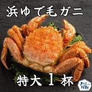 26-37 流氷明け浜ゆで毛ガニ　特大1杯