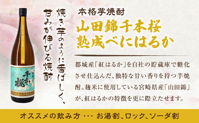 【柳田酒造】山田錦千本桜・母智丘 千本桜(25度)1.8L×2本 ≪みやこんじょ特急便≫_AC-0751_99