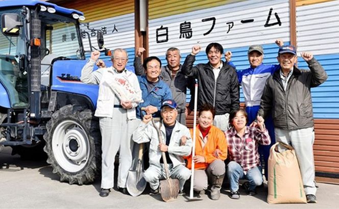 定期便4カ月【令和7年産】特別栽培米10kg（白米/7分/5分ツキ可）【白米】(ハツシモ) 米 お米 白米 コメ ご飯 定期 岐阜県 池田町