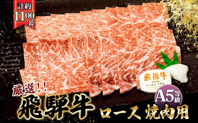 店主こだわり雌牛 飛騨牛A5等級　ロース　焼き肉用　約1.1kg [No.085]