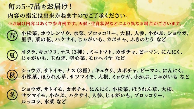  ＼ 選べるお届け月／  農家直送 旬のお野菜 おまかせセット  野菜セット 野菜 旬 詰め合わせ やさい おまかせ 自然 春野菜 夏野菜 セット 季節 新鮮 旬 農家直送