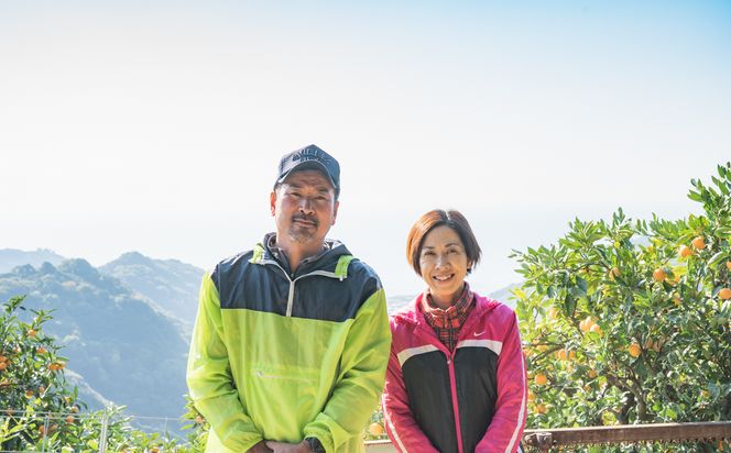 BP6011_かねよし農園 田村みかんジュース 3本 セット【和歌山 ミカンジュース ストレート 果汁100%】