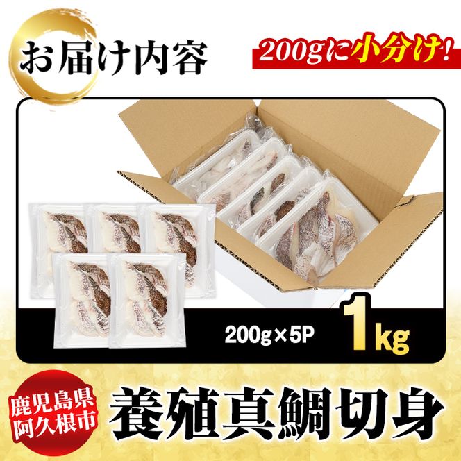 養殖真鯛切身(約1kg) 鹿児島県 阿久根市 たい タイ 真鯛 魚貝 魚介 海産物 切身 切り身 煮物 煮つけ 焼き魚 おかず おつまみ 小分け 【さるがく水産】akn028-46