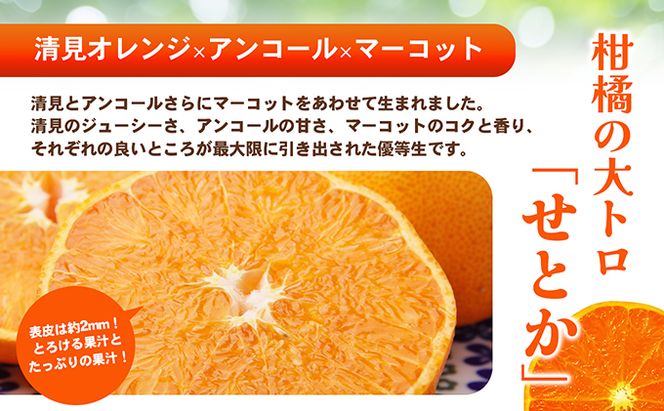 【 小豆島 】 ハウスせとか 約５kg 柑橘 せとか 瀬戸香 ハウス 果物 フルーツ くだもの 瀬戸内 くだもの 国産 香川 香川県 土庄 土庄町 