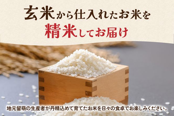【新米予約】令和8年産 ななつぼし 無洗米 5kg 北海道 留萌管内産 R004-165