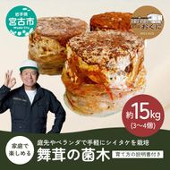 【家庭で楽しめる】舞茸の菌木 約15kg(3～4個) きのこ 舞茸 まいたけ マイタケ 栽培 手軽
