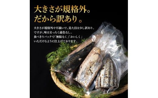 【CF-R7hbk】訳あり カツオたたき 1.5kg 1.5キロ 土佐しらぎく 純米酒 純米吟醸酒 各1合(180ml)ずつ 日本酒 蔵來 藁焼き かつおのタタキ 海鮮 規格外 KURARA くらら お酒 パウチパック