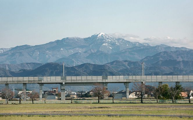 北本農場こだわりのお米令和7年度産コシヒカリ精米10kg有機肥料(ボカシ肥料）で育てたお米