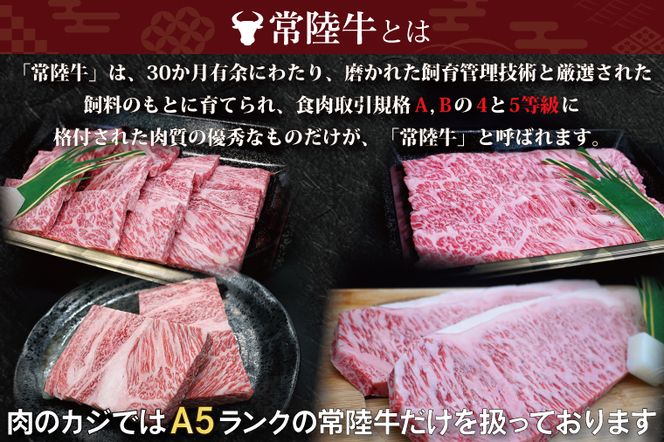 【 ギフト用 】 【常陸牛・ローズポーク焼肉セット(3～5人前)】 常陸牛 カルビ 約360g ローズポーク 約400g (ロース200g ばら200g)（茨城県共通返礼品・茨城県産） ブランド牛 茨城 国産 黒毛和牛 霜降り 牛肉 ブランド豚 豚肉 冷凍 内祝い 誕生日 お中元 贈り物 お祝い 焼肉