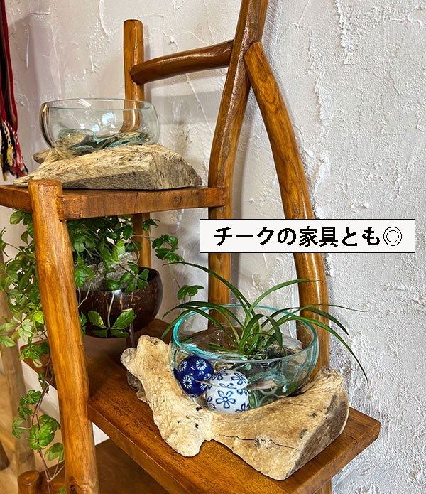 【選べる2サイズ】天然流木のガラスポット [BV-25]