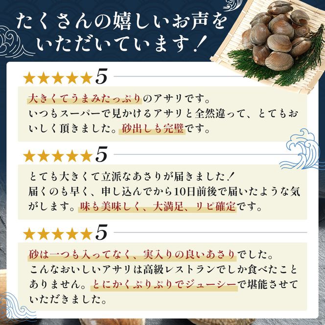 あさり【4月～6月発送】北海道 厚岸町産 天然 殻あさり(大)  500g×2　【厚岸漁業協同組合】[ アサリ 貝 味噌汁 酒蒸し 混ぜご飯 ] 