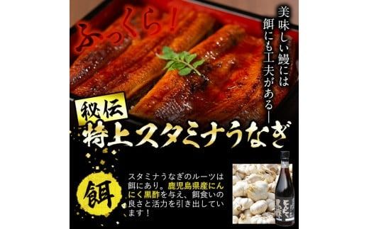 【訳あり】鹿児島県産！秘伝のスタミナうなぎ蒲焼き＜計600g以上/4尾以上＞肝吸いセット！ にんにく黒酢パワーで丸々太った美味しい鰻！c0-138