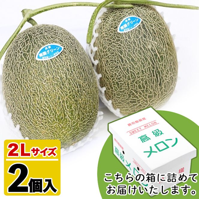 ＜先行予約受付中！2026年6月以降順次発送予定＞鹿児島県産！南国グリーンメロン(2Lサイズ×2個) メロン めろん 果物 スイーツ デザート フルーツ【あくね旬の店いきいき館】akn015-17