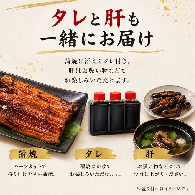 高島屋選定品 うなぎ 蒲焼き 3尾 ハーフカット タレ・肝付き 国産鰻 国産 うなぎ蒲焼 惣菜 おかず