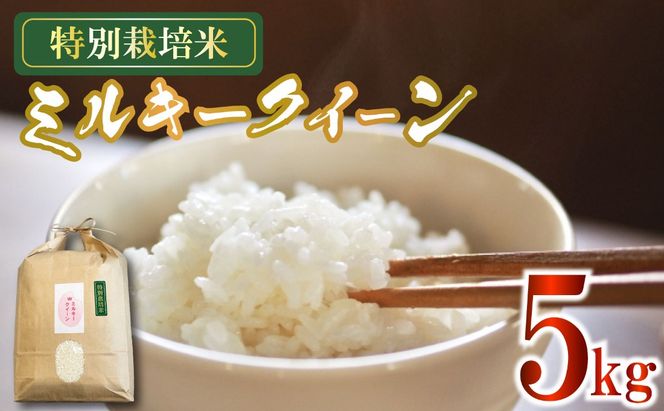 新米 米 ミルキークイーン 5kg 農家直送 特別栽培米 精米 令和7年度産 お米 贈り物 新生活 人気米 ご飯 白米 コメ 贈答 静岡県 藤枝市 