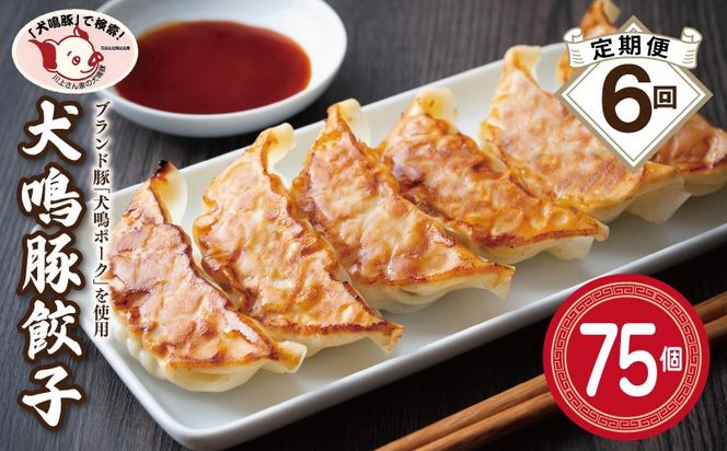 099Z555 【泉佐野ブランド豚】犬鳴豚餃子 75個×6回【国産 豚肉 ぶたにく 定期便 犬鳴ポーク 焼くだけ 人気 総菜 冷凍】