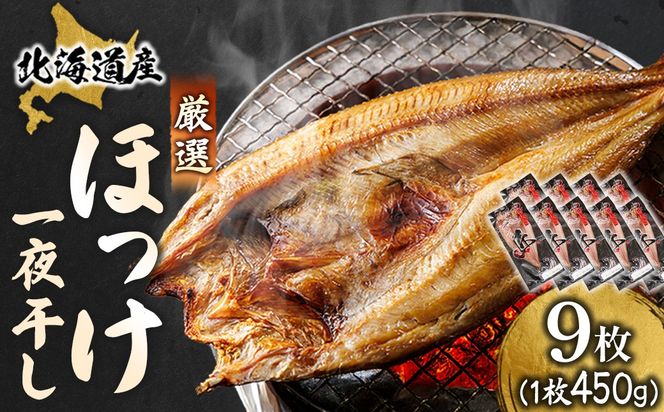 北海道産 ほっけ一夜干し（450～499g）×9枚 ｜ 釧路町の匠が贈る 北の至宝 ホッケ 干物 焼魚 焼き魚 白身魚 セット ひもの 魚干物 一人暮らし セット おかず 冷凍 スピード発送 すぐ届く 魚介類 海鮮 絶品 人気 ヒロセ すぐ発送 北海道 釧路町 釧路超 特産品
