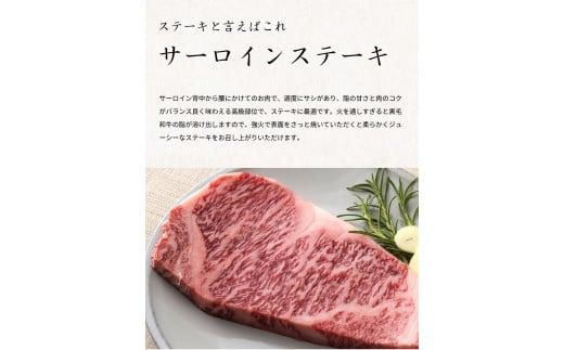 熊野牛A4以上ヒレシャトーブリアンステーキ100g×2枚＆霜降りサーロインステーキ180g×2枚【uot766】