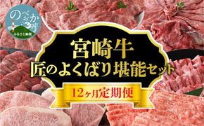 【定期便12回】宮崎牛 匠のよくばり堪能コース N0140-YI031